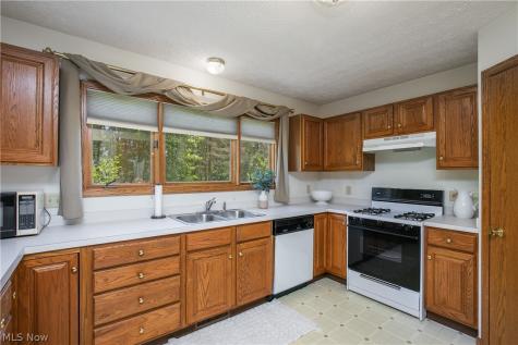 1424 Timbertop Drive Tallmadge OH 44278