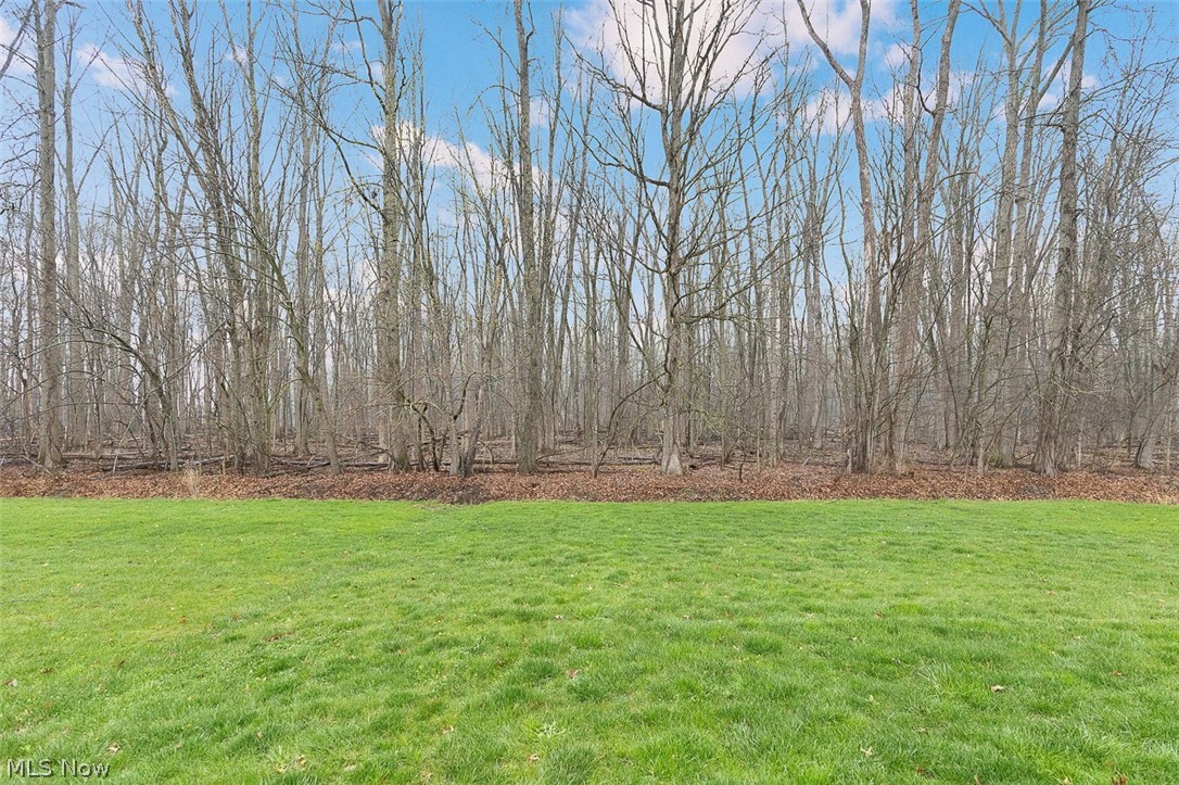 6584 Amber Way North Ridgeville OH 44039