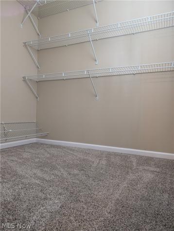 793 Park Avenue Amherst OH 44001