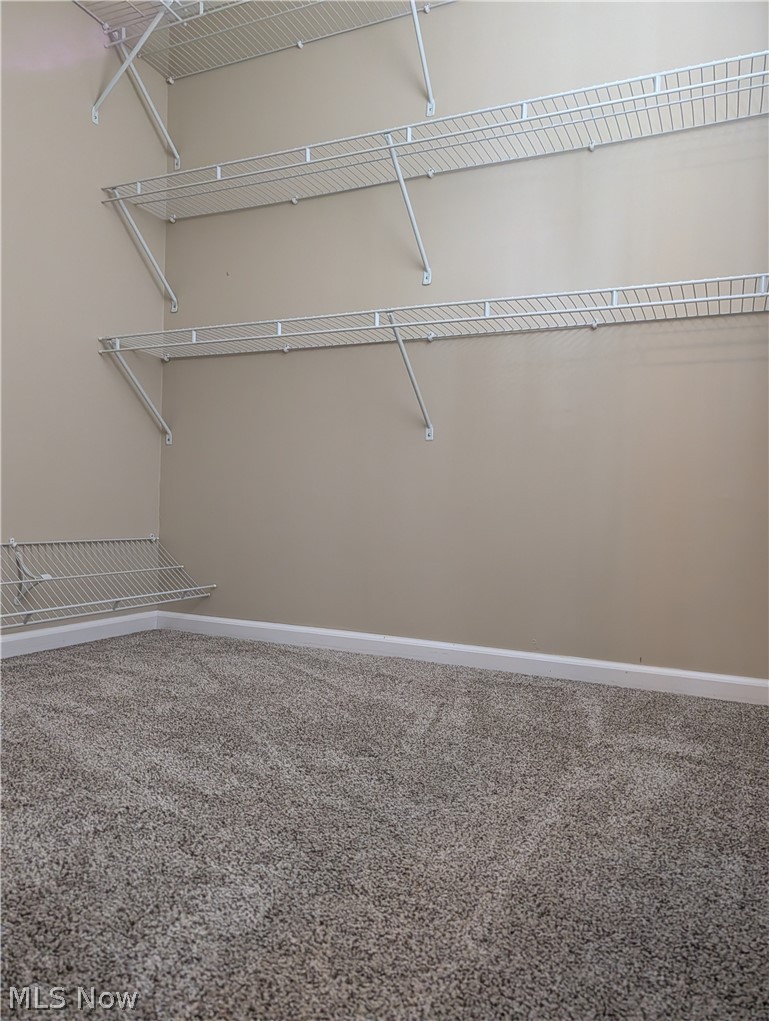 793 Park Avenue Amherst OH 44001
