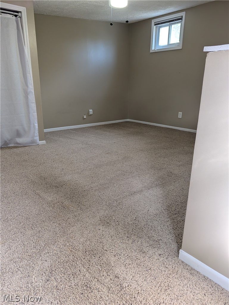 793 Park Avenue Amherst OH 44001