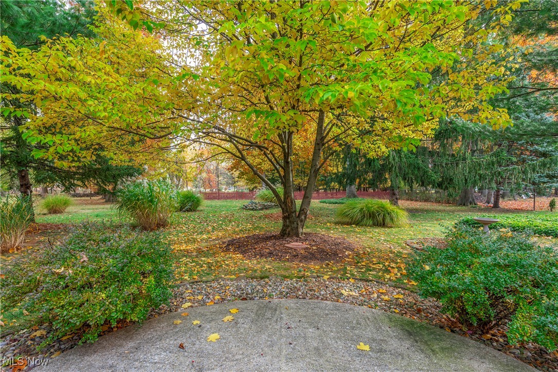 6387 Bonroi Drive Seven Hills OH 44131