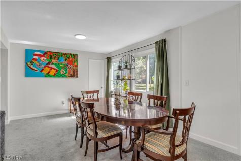 838 Nesbitt Road Sagamore Hills OH 44067