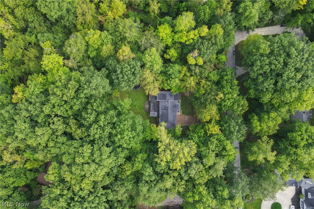 3812 Ellendale Road Moreland Hills OH 44022