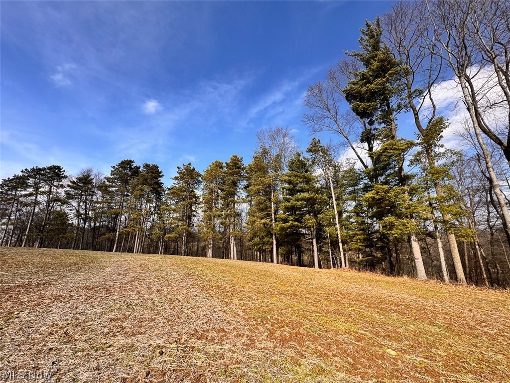 15 Glecoe Road SW Dellroy OH 44620