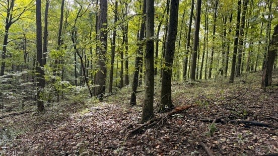 18853 Township Road 65 Coshocton OH 43844