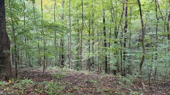 18853 Township Road 65 Coshocton OH 43844