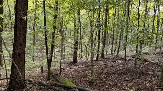 18853 Township Road 65 Coshocton OH 43844