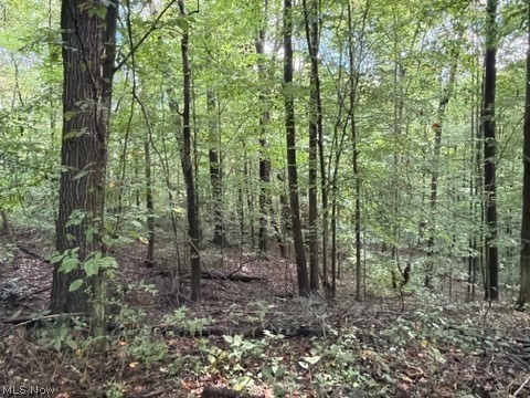 18853 Township Road 65 Coshocton OH 43844