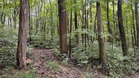 18853 Township Road 65 Coshocton OH 43844