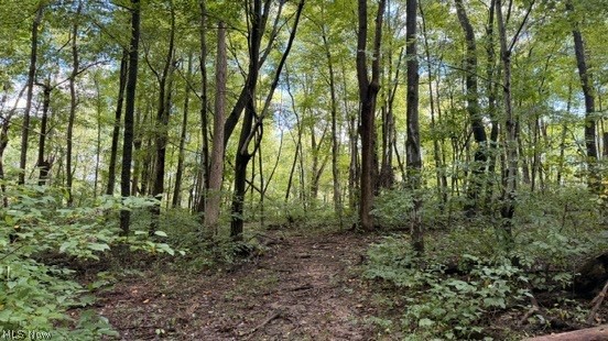 18853 Township Road 65 Coshocton OH 43844