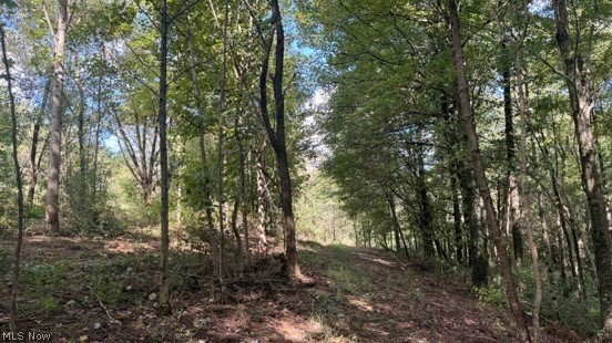 18853 Township Road 65 Coshocton OH 43844