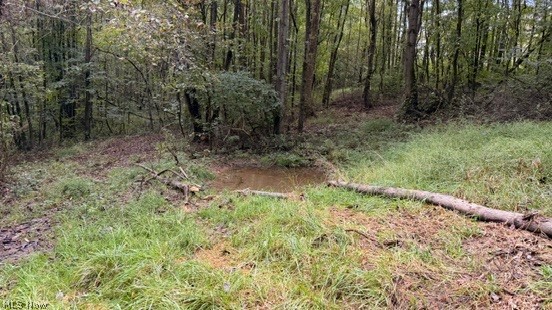 18853 Township Road 65 Coshocton OH 43844