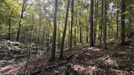 18853 Township Road 65 Coshocton OH 43844