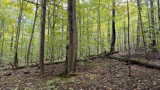 18853 Township Road 65 Coshocton OH 43844