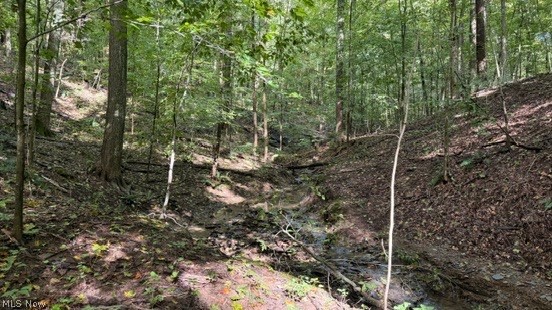 18853 Township Road 65 Coshocton OH 43844