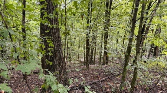 18853 Township Road 65 Coshocton OH 43844