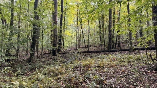 18853 Township Road 65 Coshocton OH 43844