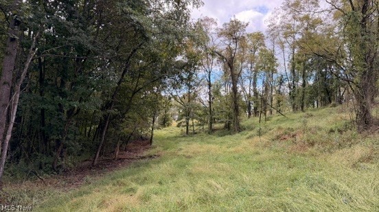 18853 Township Road 65 Coshocton OH 43844