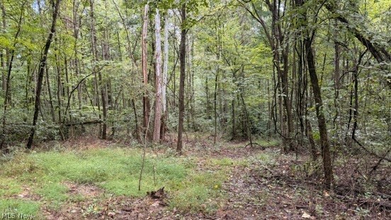 18853 Township Road 65 Coshocton OH 43844