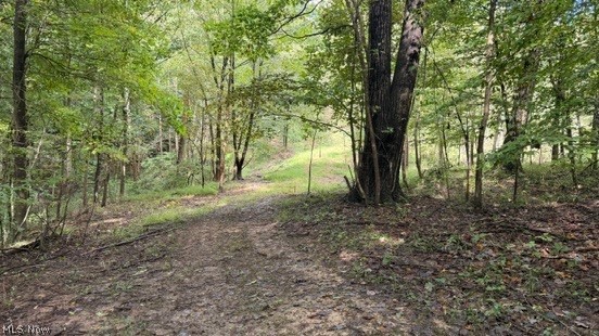 18853 Township Road 65 Coshocton OH 43844