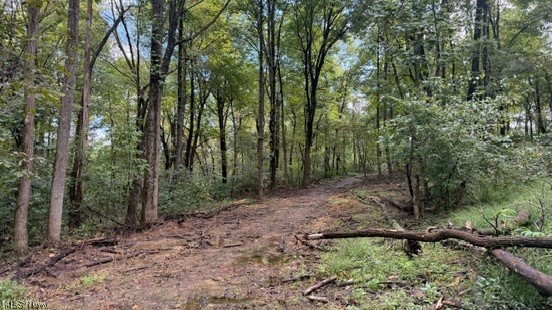 18853 Township Road 65 Coshocton OH 43844