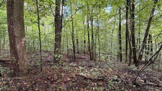 18853 Township Road 65 Coshocton OH 43844