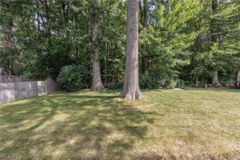4143 Brendan Lane North Olmsted OH 44070