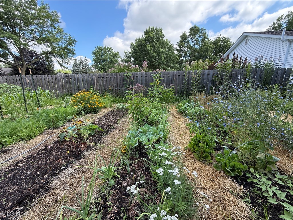 6698 Wildwood Trail Mayfield Village OH 44143