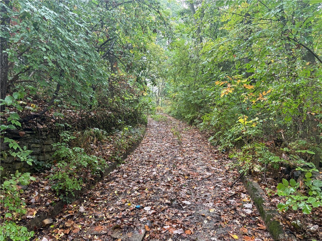 737 Vernon Odom Boulevard Akron OH 44307