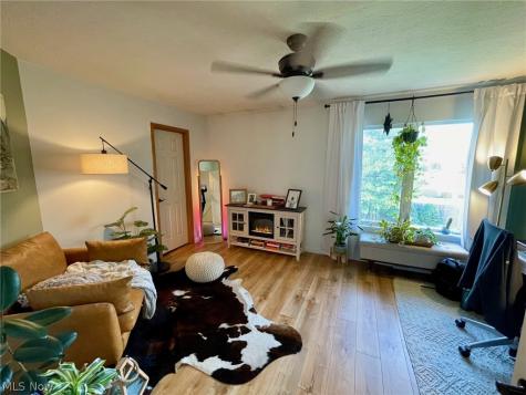 38445 Westminster Lane Willoughby OH 44094