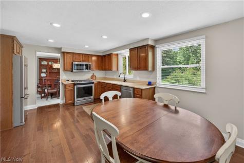 5640 Gibson Court Hudson OH 44236