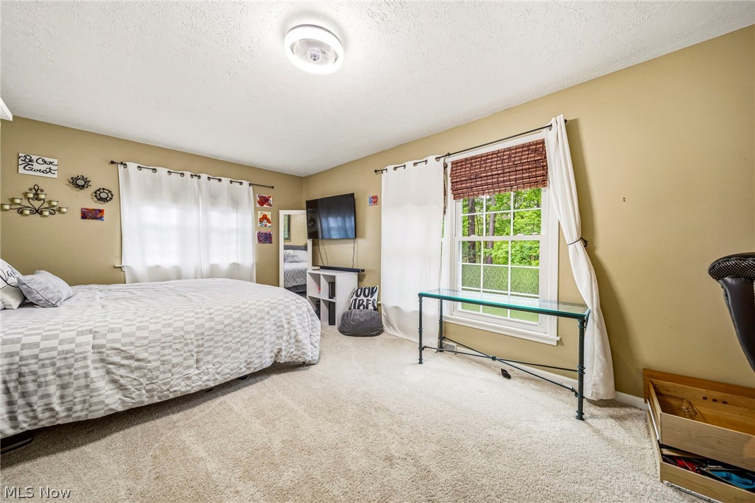 6453 Old Woods Road Ashtabula OH 44004