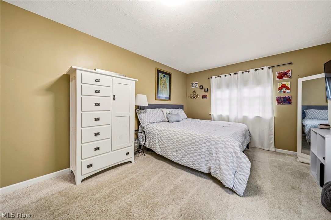 6453 Old Woods Road Ashtabula OH 44004