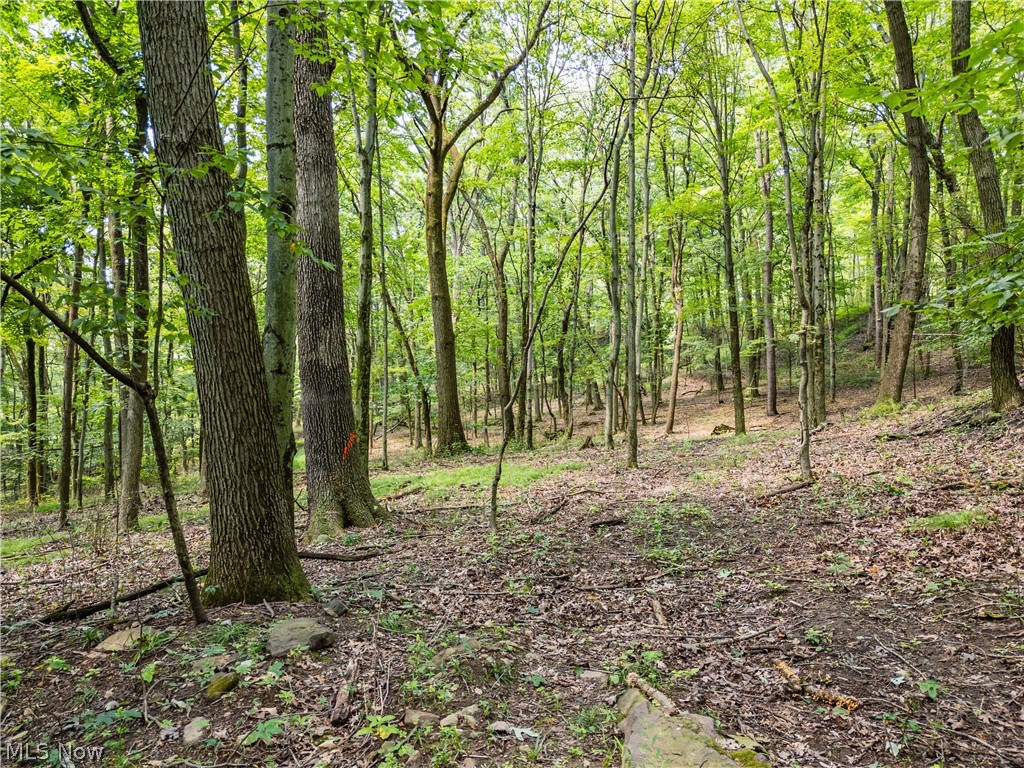 4754 Yackey Drive NW Strasburg OH 44680