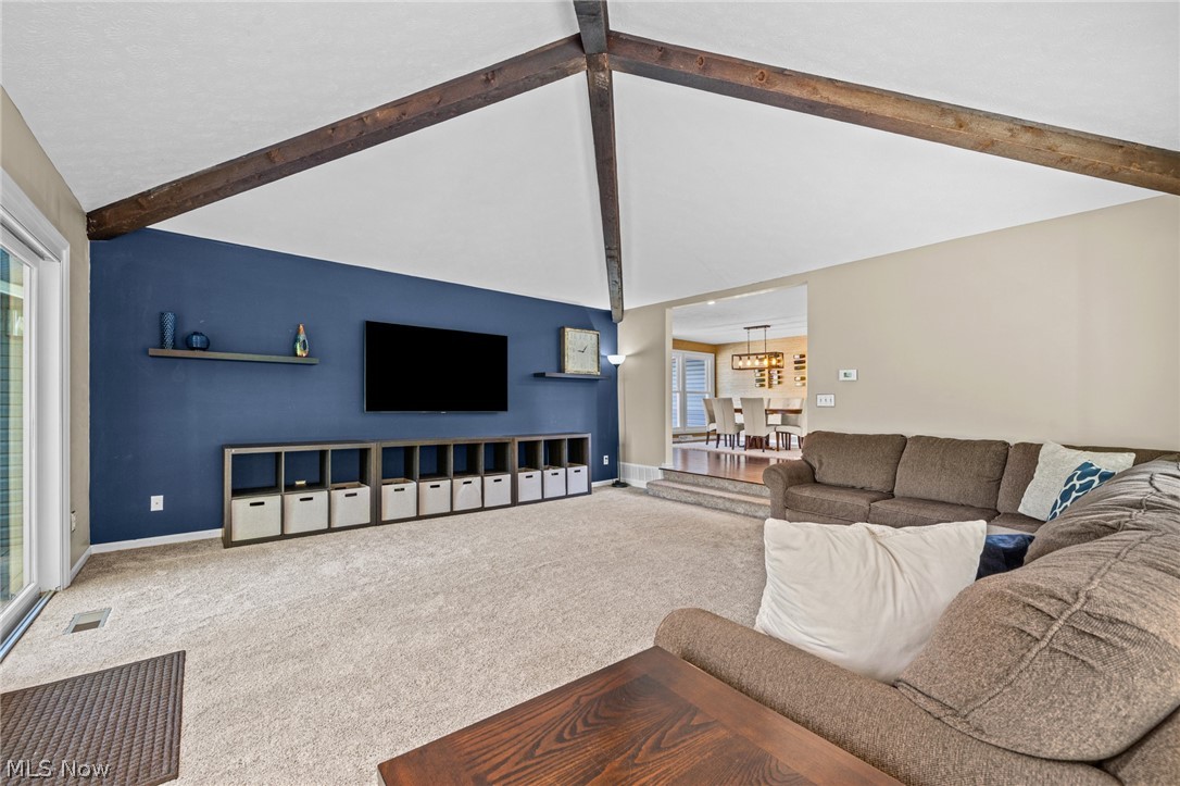 17258 Long Meadow Trail Chagrin Falls OH 44023
