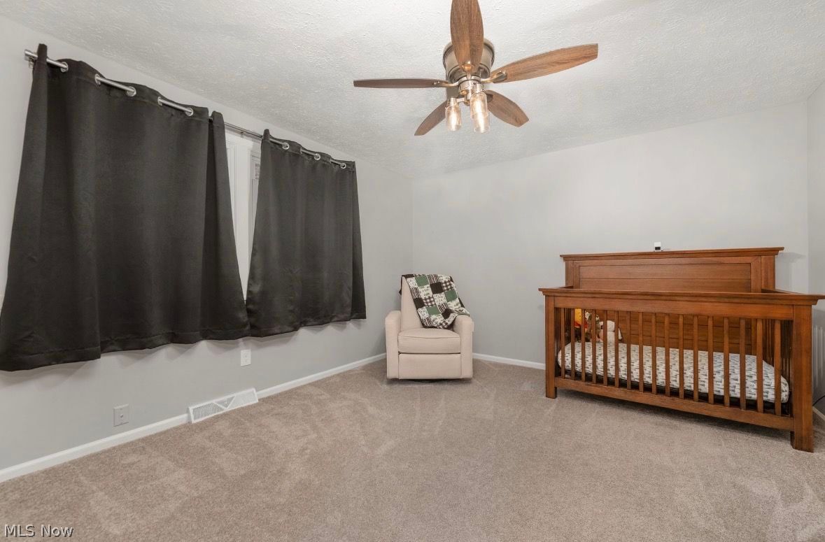 718 Arlington Drive Vermilion OH 44089