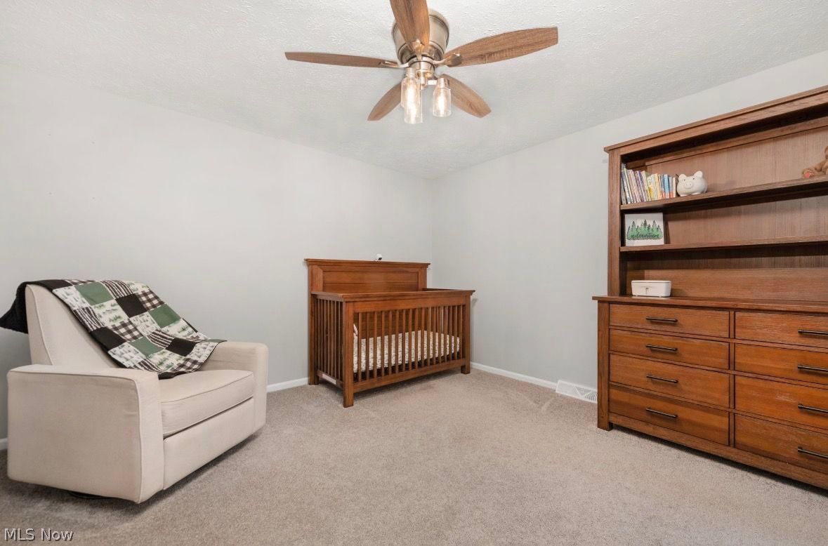 718 Arlington Drive Vermilion OH 44089