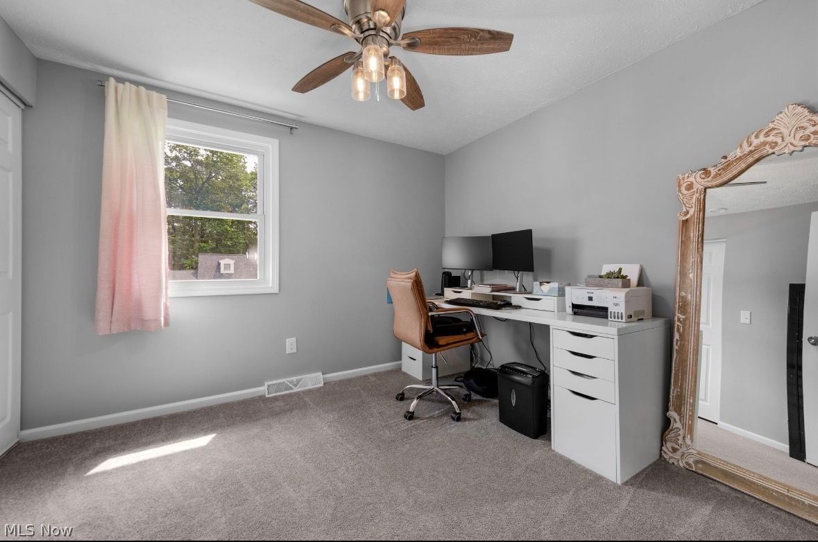 718 Arlington Drive Vermilion OH 44089