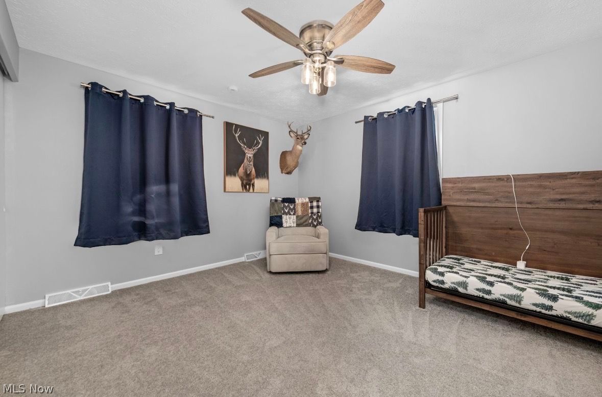 718 Arlington Drive Vermilion OH 44089
