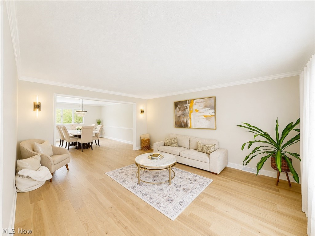 608 Dewitt Drive Highland Heights OH 44143