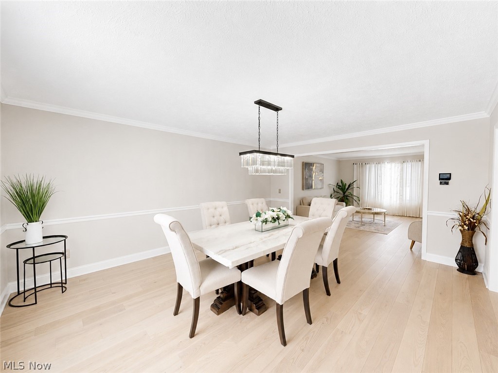 608 Dewitt Drive Highland Heights OH 44143