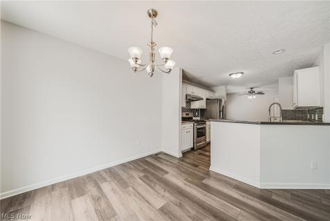29080 Pembrooke Boulevard Olmsted Twp OH 44138