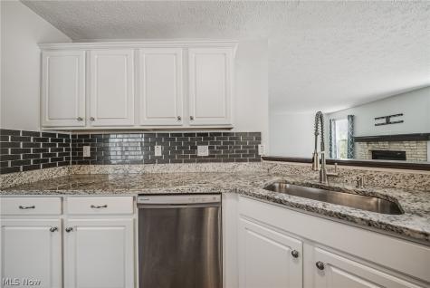29080 Pembrooke Boulevard Olmsted Twp OH 44138