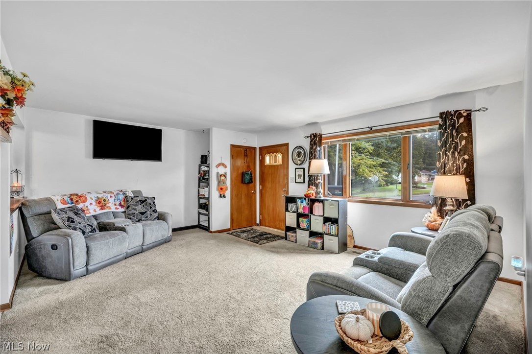 455 Lemae Street Newton Falls OH 44444