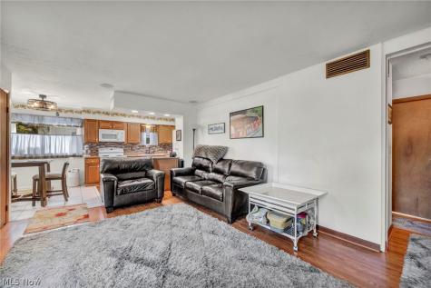 455 Birchwood Drive Berea OH 44017