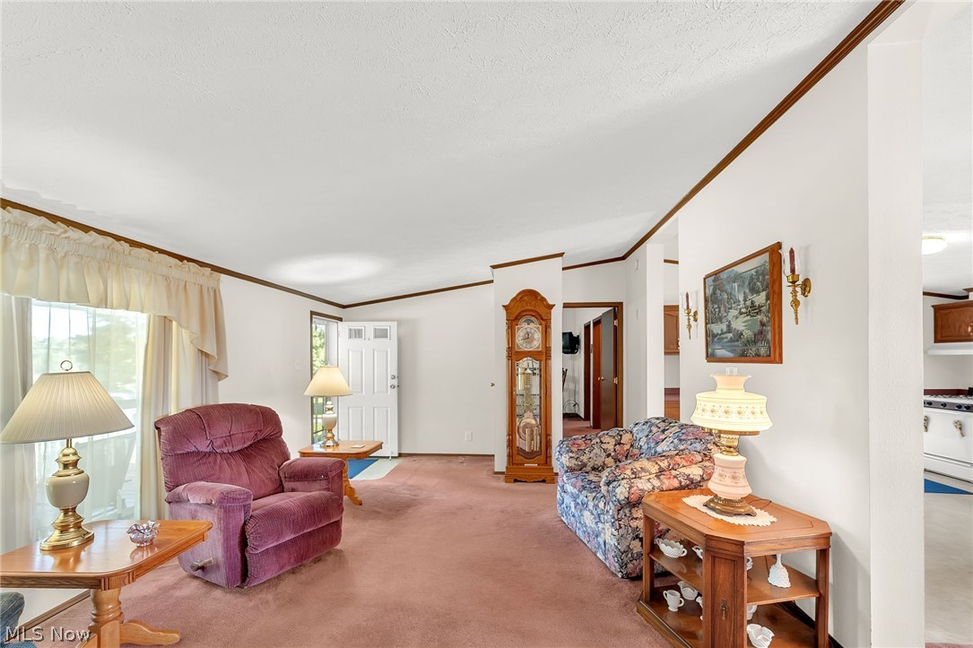 7371 State Route 9 Hanoverton OH 44423