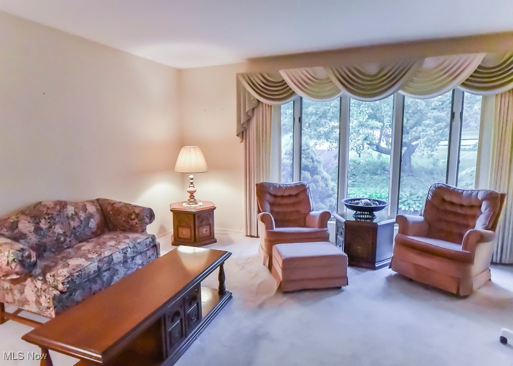 7880 Oakridge Drive Concord OH 44060