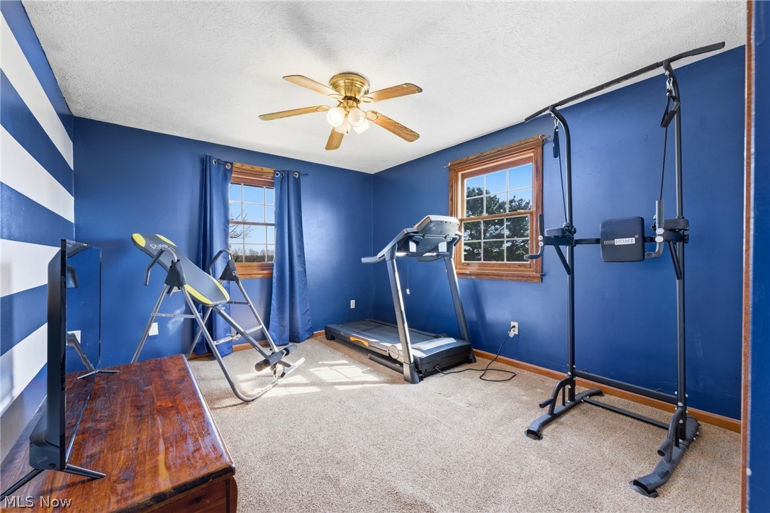14840 Georgetown Street NE Minerva OH 44657