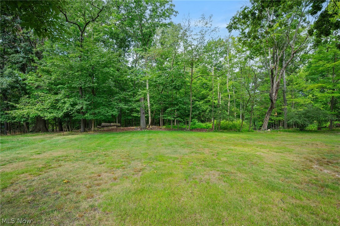 8382 Royalhaven Drive North Royalton OH 44133